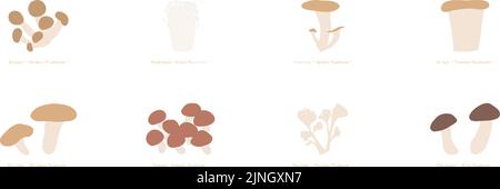 Herbstlicher Geschmack, einfache Illustration von Pilzen: Matsutake, Maitake, Shiitake und andere Set Vector Illustration Stock Vektor