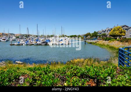 In Benicia Marina in Kalifornien, USA, vertäuten Vergnügungsboote gegen einen Ponton Stockfoto