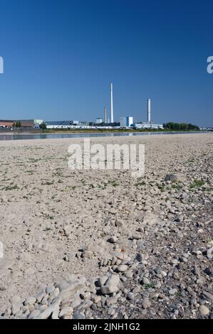 Köln, Deutschland 11. August 2022: Die Ford Motor Company in köln bei niedrigem Wasserstand am rhein Stockfoto