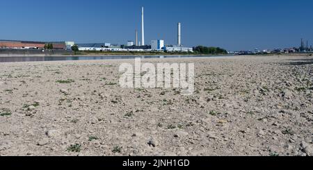 Köln, Deutschland 11. August 2022: Die Ford Motor Company in köln bei niedrigem Wasserstand am rhein Stockfoto