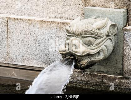 Ein drachenköpfiger Wasserauslauf im Chi Lin Nunnery, Hongkong Stockfoto