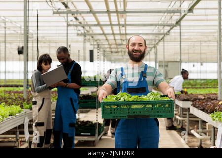 Porträt eines lächelnden kaukasischen Mannes im Gewächshaus, der eine Kiste mit frischem, handverlesenen Salat in hydroponischer Umgebung hält. Bio-Landarbeiter zeigt die tägliche Produktion bereit zur Lieferung. Stockfoto