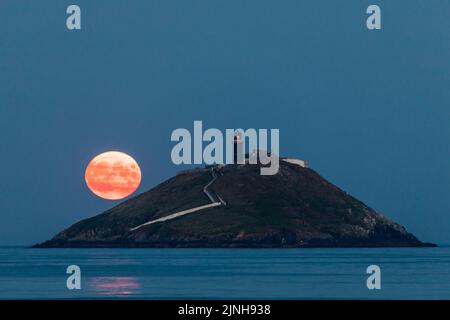 Ballycotton, Cork, Irland. 11.. August 2022. Hinter dem Leuchtturm in Ballycotton Bay, Co. Cork, Irland, erhebt sich ein Sturgeon-Mond. - Credit; David Creedon / Alamy Live News Stockfoto