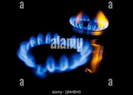 Berlin, Deutschland. 11. März 2022. Symbolisches Foto zum Thema steigende Gaskosten. Flammen in einem Gasherd. Berlin, 11. März 2022 Quelle: dpa/Alamy Live News Stockfoto