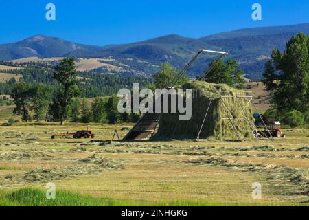 Heuhaufen und Traktoren im avon-Tal in der Nähe von avon, montana Stockfoto