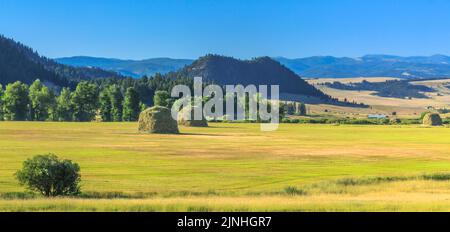 Blick auf Heuhaufen im avon-Tal bei avon, montana Stockfoto