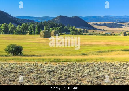 haystacks im avon-Tal in der Nähe von avon, montana Stockfoto