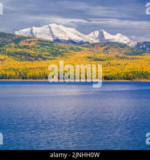 Großer nördlicher Berg und Mount Grant in der Flathead Range über Hungry Horse Reservoir und Herbst Lärche in der Nähe Hungry Horse, montana Stockfoto