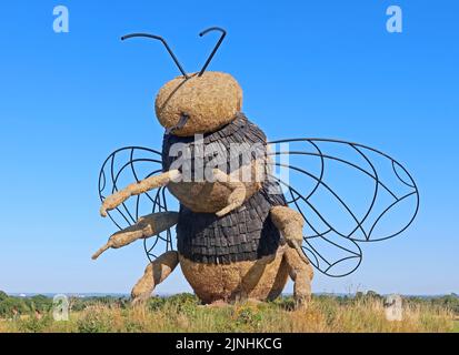 Bienenstrohskulptur auf der Wildblumenwiese bei Snugburys Ice Cream, Park Farm, A51, Hurleston, Nantwich, CW5 6BU Stockfoto