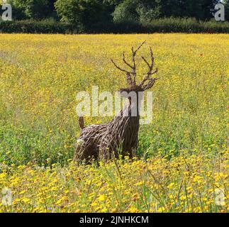 Hirschskulptur auf der Wildblumenwiese bei Snugburys Ice Cream, Park Farm, A51, Hurleston, Nantwich, CW5 6BU Stockfoto