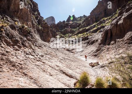 Im Lost Dutchman State Park, Arizona, USA, ziehen Menschen, die Siphon wandern. Stockfoto