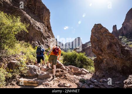 Zwei Männer wandern im Lost Dutchman State Park, Arizona, USA. Stockfoto