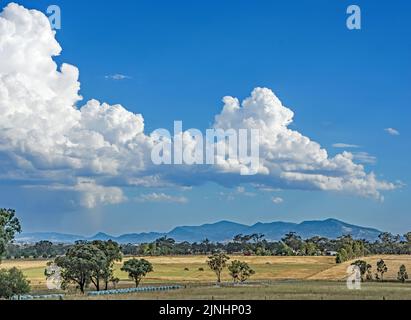 Cumulus Wolken über Ackerland, Tamworth Australien. Stockfoto