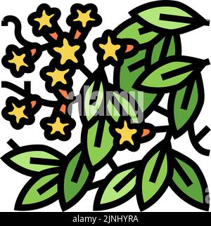 bignonia capreolata Farbe Symbol Vektor Illustration Stock Vektor