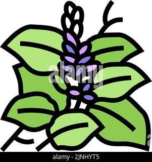 kudzu Pflanze Farbe Symbol Vektor Illustration Stock Vektor