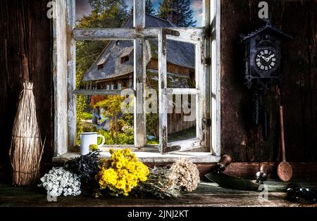 Rustikale Bauernküche mit Kräuter und Blick aus dem Fenster auf ein Bauernhaus Stockfoto