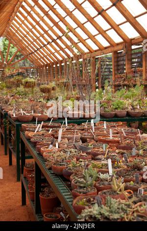 Sukculent House in Babylonstoren Garden in Simondium in Western Cape, Südafrika Stockfoto