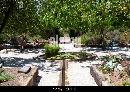 Zitrusbäume im Babylonstoren-Garten bei Simondium in Westkap, Südafrika Stockfoto