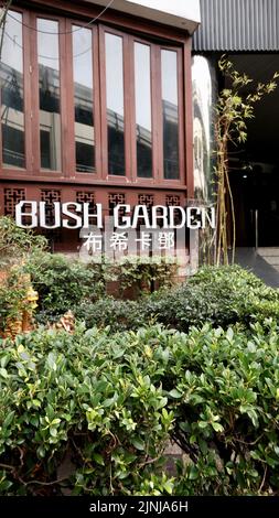 Bush Garden Bar und Restaurant Ruamchitt Hotel Plaza Thermae Bar und Café Sukhumvit Soi 15, Khlong Toei Nuea, Watthana, Bangkok, Thailand Stockfoto