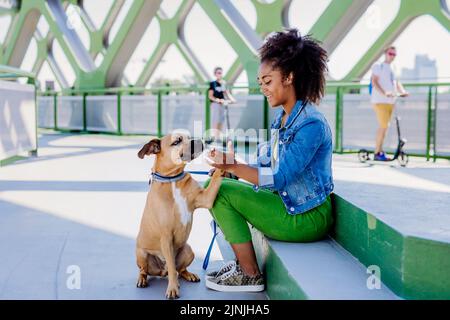 Multirassisches Mädchen, das mit ihrem Hund draußen auf der Brücke sitzt und sich ausruht, ihn trainiert und gemeinsam Freizeit verbringt. Konzept der Beziehung zwischen Stockfoto