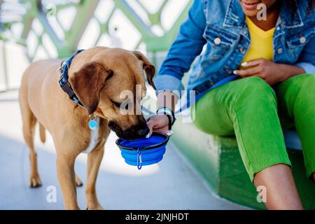 Nahaufnahme eines Mädchens, das ihrem Hund während des heißen Sommertages eine Schüssel Wasser gab, im Freien auf der Stadtbrücke. Stockfoto