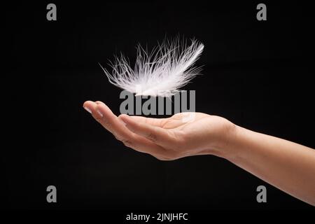 Nahaufnahme einer weißen Feder, die auf die weibliche Hand fällt, isoliert auf schwarzem Hintergrund Stockfoto