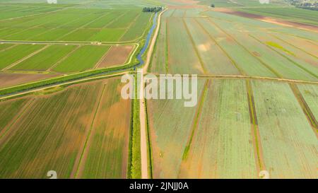 Landwirtschaftliches Grundstück mit grünen Pflanzen und landwirtschaftlichen Maschinen Ansicht von oben. Landschaft mit Ackerland. Stockfoto