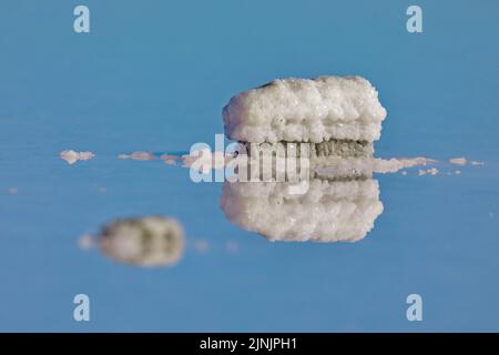 Lake Hart, auf dem Wasser spiegelnde Salzablagerungen, Australien, Südaustralien Stockfoto