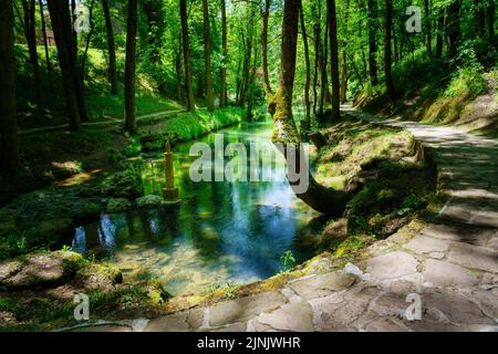 Quelle des Ebro Flusses im Wald namens Fontibre. Kantabrien. Stockfoto