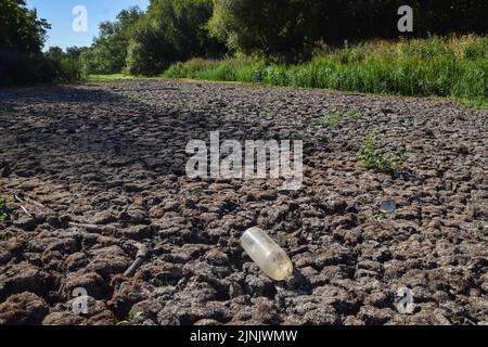 London, Großbritannien. 12.. August 2022. Eine ausrangierte Plastikflasche liegt in einem vollständig trockenen großen Teich im Wanstead Park im Nordosten Londons, da in Teilen Großbritanniens eine Dürre ausgerufen wird. Anhaltende Hitzewellen infolge des vom Menschen verursachten Klimawandels haben einen Großteil Londons beeinflusst, mit Waldbränden und Dürren in der gesamten Hauptstadt. Kredit: Vuk Valcic/Alamy Live Nachrichten Stockfoto