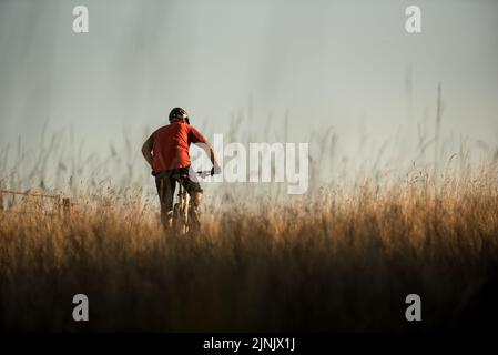 Mountainbike-Touren in Hertfordshire, England Stockfoto