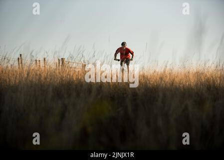 Mountainbike-Touren in Hertfordshire, England Stockfoto