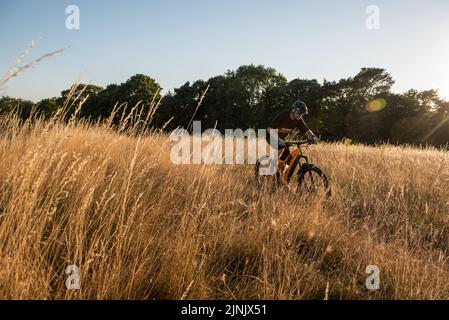 Mountainbike-Touren in Hertfordshire, England Stockfoto