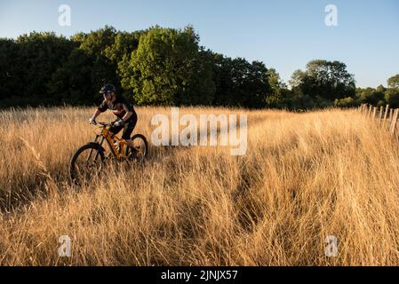 Mountainbike-Touren in Hertfordshire, England Stockfoto