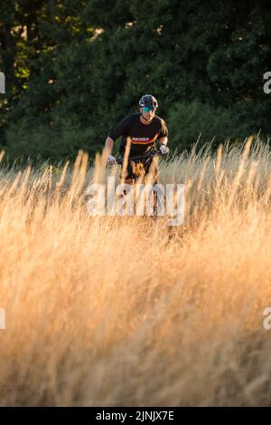 Mountainbike-Touren in Hertfordshire, England Stockfoto