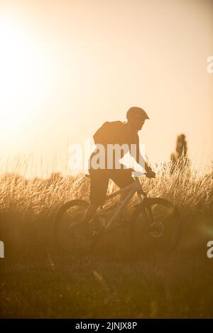 Mountainbike-Touren in Hertfordshire, England Stockfoto