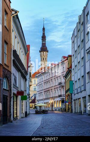 Hauptstraße der Stadt Tallinn in Richtung Rathaus. Estland. Stockfoto