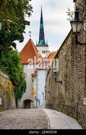 Gepflasterte Straße neben den Steinmauern der Stadt Tallinn. Estland. Stockfoto