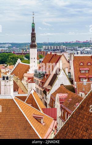 Luftaufnahme der Stadt Tallinn mit ihren roten Dächern und dem Kirchturm. Stockfoto