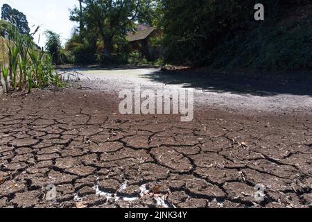 Forthampton, Gloucestershire August 12. 2022 - Gesprungener trockener Schlamm, der in einem Teich im kleinen historischen Weiler Forthampton in Gloucestershire, der von Trockenheit schwer getroffen wurde, leer ist. Quelle: SCOTT CM/Alamy Live News Stockfoto