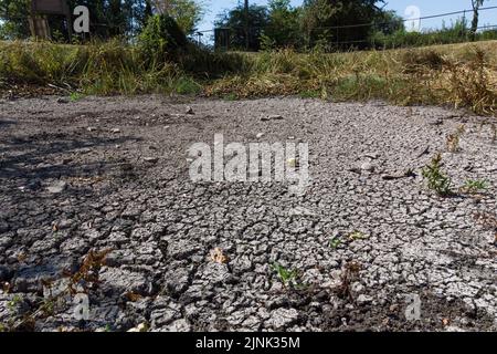 Forthampton, Gloucestershire August 12. 2022 - Gesprungener trockener Schlamm, der in einem Teich im kleinen historischen Weiler Forthampton in Gloucestershire, der von Trockenheit schwer getroffen wurde, leer ist. Quelle: SCOTT CM/Alamy Live News Stockfoto