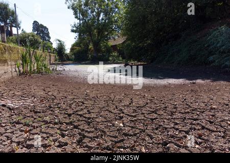 Forthampton, Gloucestershire August 12. 2022 - Gesprungener trockener Schlamm, der in einem Teich im kleinen historischen Weiler Forthampton in Gloucestershire, der von Trockenheit schwer getroffen wurde, leer ist. Quelle: SCOTT CM/Alamy Live News Stockfoto