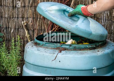 Detail von Kunststoff-Kompostbehälter mit Regenwürmern in kleinen Stadtgarten mit Hand hält den Deckel, selektiver Fokus Stockfoto