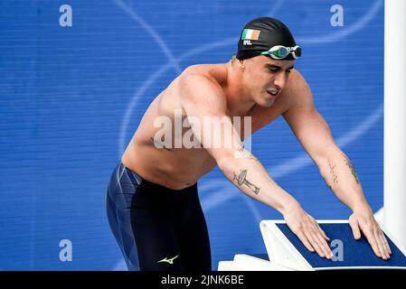 Roma, Italien. 12. August 2022. MCCUSKER Max IRL IRELAND100m Freestyle Männer heizt Schwimmen Roma, 12/8/2022 Stadio del Nuoto XXVI len Europameisterschaften Roma 2022 Foto Andrea Staccioli/Deepbluemedia/Insidefoto Kredit: Insidefoto di andrea staccioli/Alamy Live News Stockfoto