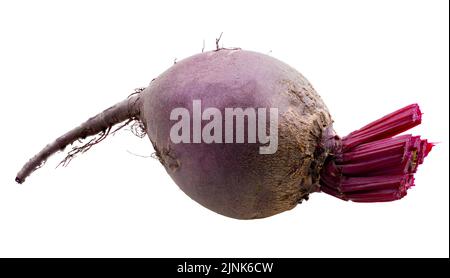 Frische Rote Bete isoliert auf weißem Hintergrund. Beschneidungspfad Stockfoto