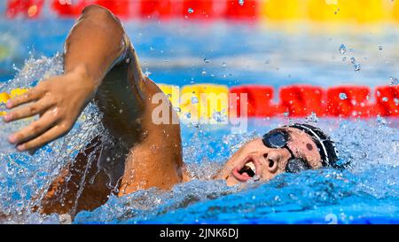 Roma, Italien. 12. August 2022. GALOSSI Lorenzo ITA ITALY800m Freestyle Men Heats Swimming Roma, 12/8/2022 Stadio del Nuoto XXVI len European Championships Roma 2022 Foto Andrea Masini/Deepbluemedia/Insidefoto Kredit: Insidefoto di andrea staccioli/Alamy Live News Stockfoto