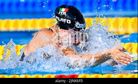 Roma, Italien. 12. August 2022. PILATO Benedetta ITA ITALY100m Brust Frauen heizt Schwimmen Roma, 12/8/2022 Stadio del Nuoto XXVI len Europameisterschaften Roma 2022 Foto Andrea Masini/Deepbluemedia/Insidefoto Kredit: Insidefoto di andrea staccioli/Alamy Live News Stockfoto