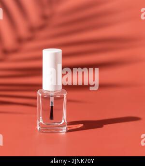 Nachfüllbare Flasche aus klarem Glas mit Bürstendeckel auf rosa, Palmblatt-hartem Schatten, Nahaufnahme, Nachbildung. Hautpflege oder Nagelprodukt. Naturkosmetik, minimal c Stockfoto