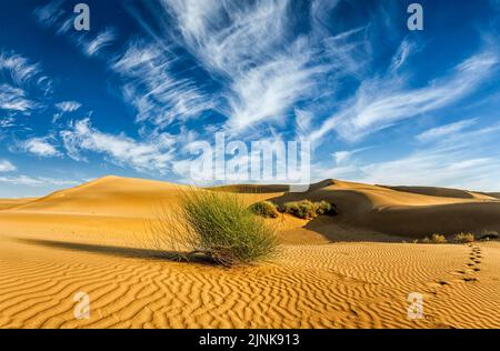 Wüste, Thar, große indische wüste, Wüste, wüste Stockfoto