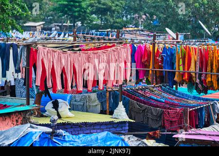 wäsche waschen, dhobi ghat Stockfoto